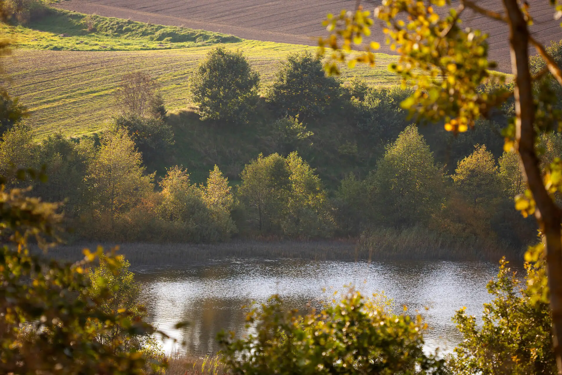 Jezioro i natura — miejsce wyjazdu na Kaszubach
